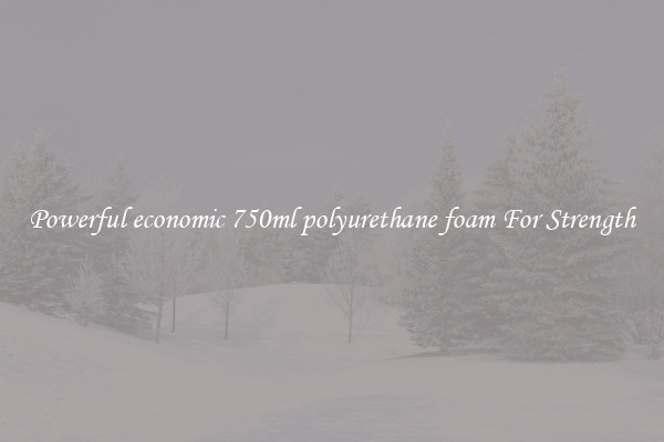 Powerful economic 750ml polyurethane foam For Strength
