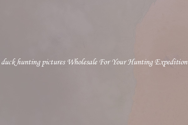 duck hunting pictures Wholesale For Your Hunting Expedition