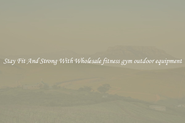 Stay Fit And Strong With Wholesale fitness gym outdoor equipment