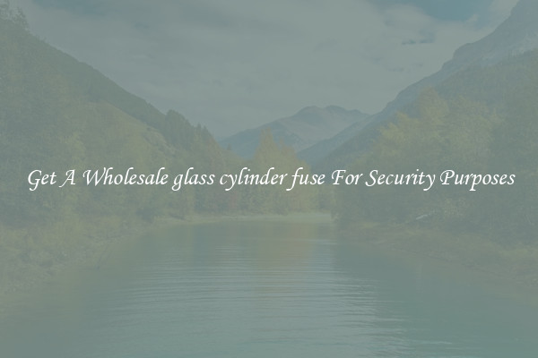 Get A Wholesale glass cylinder fuse For Security Purposes