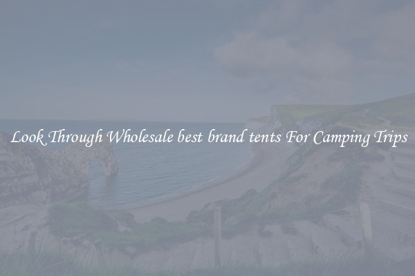 Look Through Wholesale best brand tents For Camping Trips