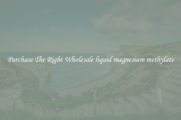 Purchase The Right Wholesale liquid magnesium methylate