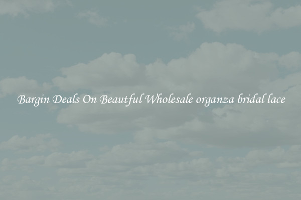 Bargin Deals On Beautful Wholesale organza bridal lace