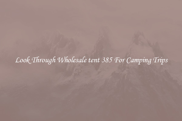 Look Through Wholesale tent 385 For Camping Trips
