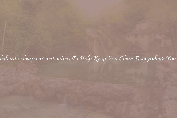 Wholesale cheap car wet wipes To Help Keep You Clean Everywhere You Go