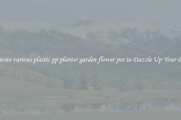 Exquisite various plastic pp planter garden flower pot to Dazzle Up Your Décor 