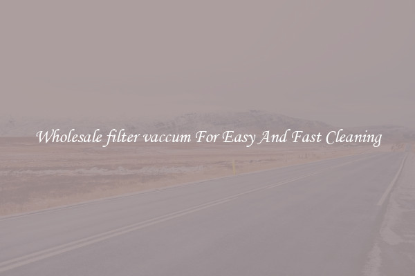 Wholesale filter vaccum For Easy And Fast Cleaning