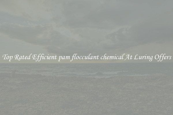 Top Rated Efficient pam flocculant chemical At Luring Offers