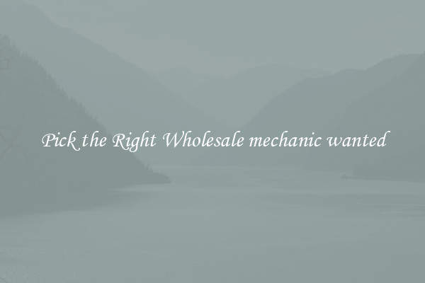 Pick the Right Wholesale mechanic wanted