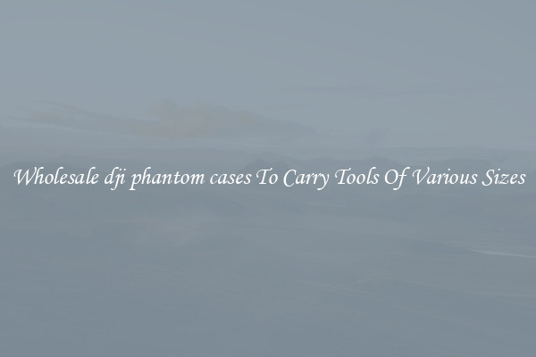 Wholesale dji phantom cases To Carry Tools Of Various Sizes