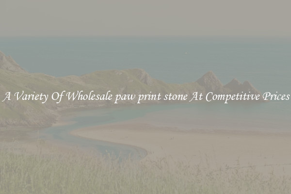 A Variety Of Wholesale paw print stone At Competitive Prices