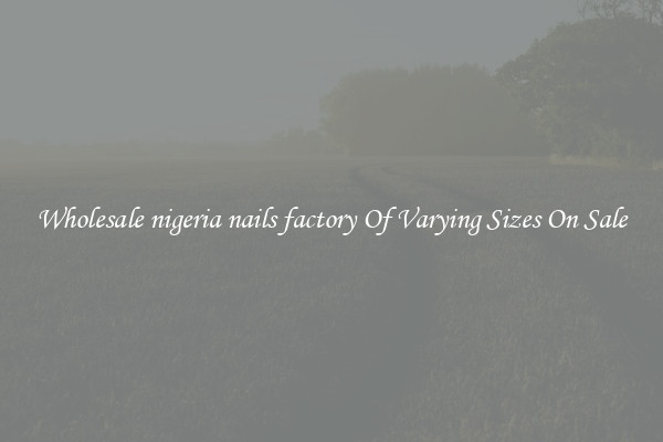 Wholesale nigeria nails factory Of Varying Sizes On Sale