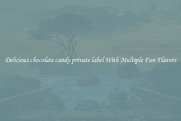 Delicious chocolate candy private label With Multiple Fun Flavors