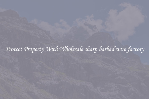 Protect Property With Wholesale sharp barbed wire factory