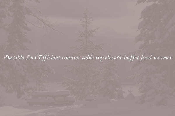 Durable And Efficient counter table top electric buffet food warmer