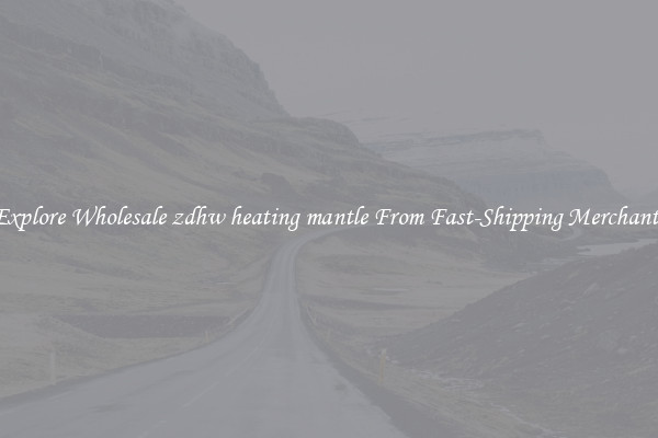 Explore Wholesale zdhw heating mantle From Fast-Shipping Merchants