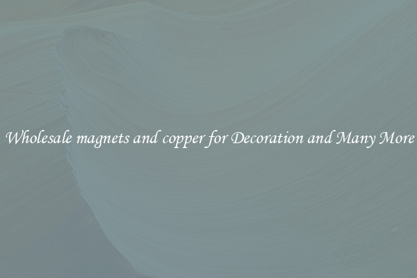 Wholesale magnets and copper for Decoration and Many More