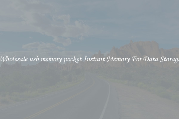 Wholesale usb memory pocket Instant Memory For Data Storage
