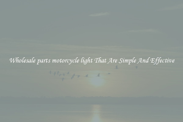 Wholesale parts motorcycle light That Are Simple And Effective
