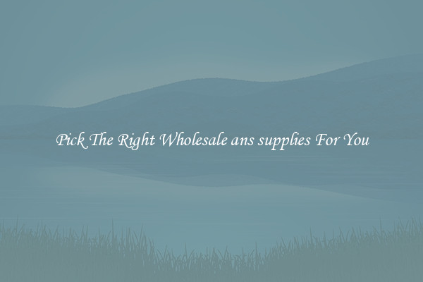 Pick The Right Wholesale ans supplies For You