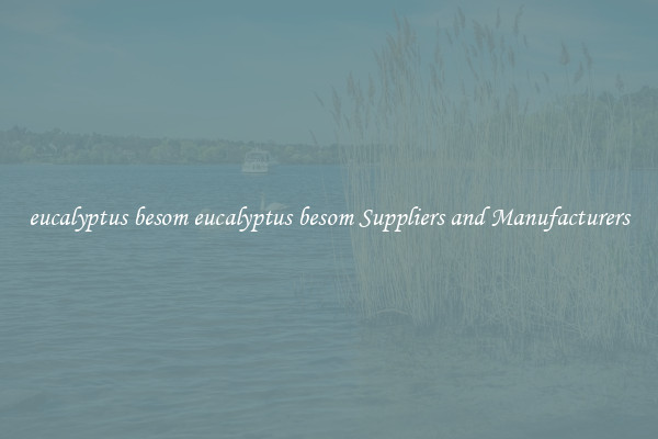 eucalyptus besom eucalyptus besom Suppliers and Manufacturers
