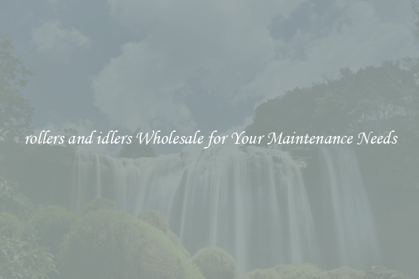 rollers and idlers Wholesale for Your Maintenance Needs